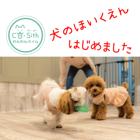 CU-Sith【クーシー】のほいくえん始まります！